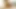 Kıçında bir yapay penis ile Vitress tamayo ladyboy yıldızı!