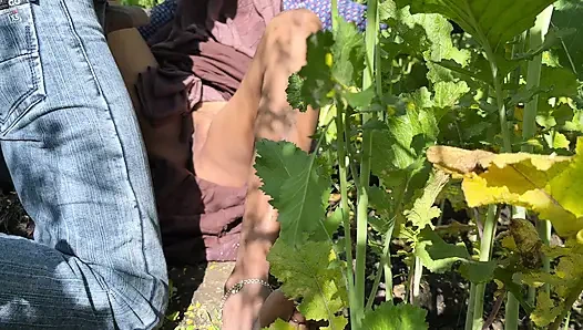 Sasumaa Jamai ke sath outside kheto me romance xxx video