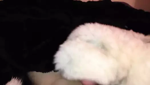 Kürk tilki eldivenleri