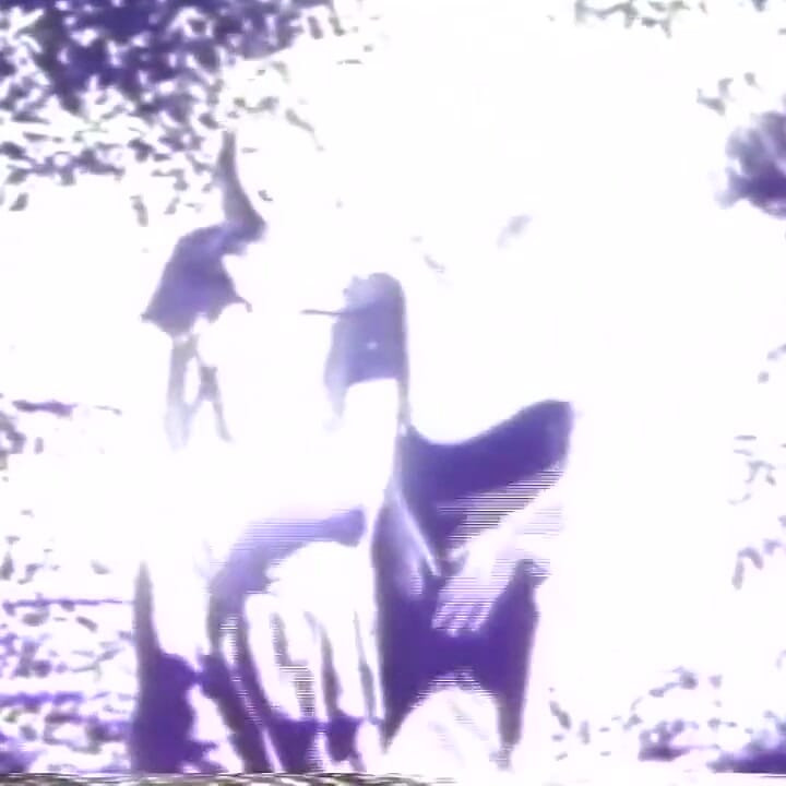 1930'larda halka açık seks