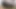 Bearded Çıtçıt karşılıklı ayaklara tapıyor ve birlikte mastürbasyon yapıyor
