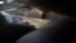 Jamaikalı kendine dokunuyor