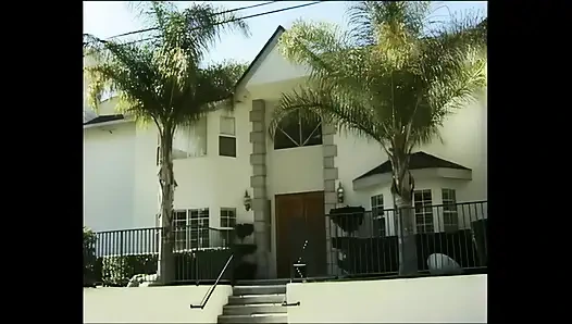 Sarışın bir horoz istedim