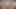 gfe koleksiyonu: senin horoz takıntılı