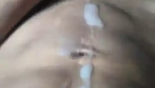 Asya horoz - uzun çük