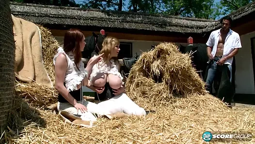 Büyük memeli binicilik akademisi