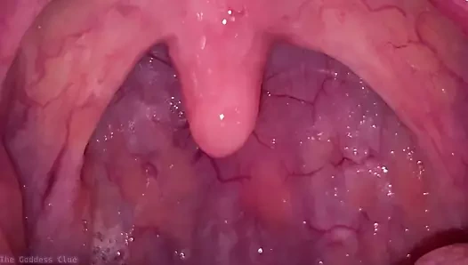 dilimle yakın karşılaşma - hd fragman