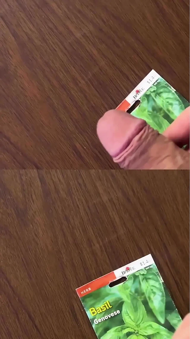31 talimatını bulman için başka bir sarkık yarak