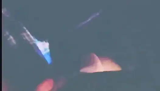 Ruh emen bobblehead bölüm 1