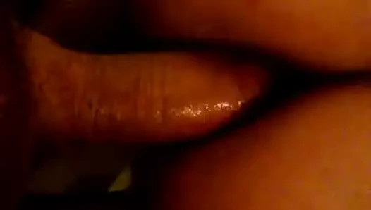 anal köpek üstten görünüm