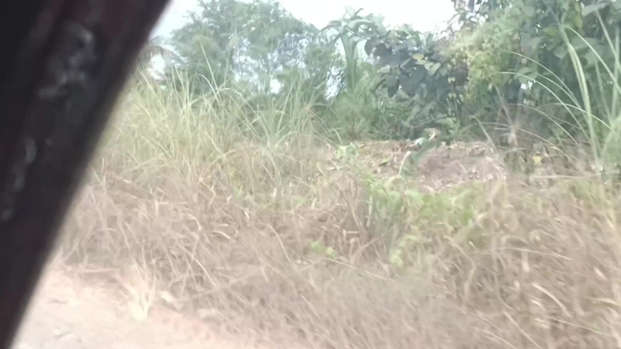 TRIKE DRIVER AND HER ENGER FOUND ABONDONED HOUSE AND FUCK HER ENGER