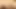 Porno inek: Sydney: ırklararası amcık