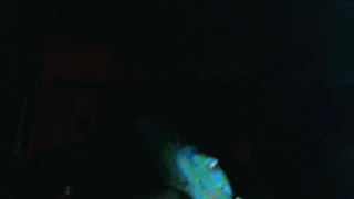 kuzen benim KEDİ yeme