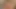 Porno yıldızı nasıl becerileceğini bilir