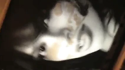 Rosario dawson boşalıyor