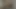 Balık solucanı yuvasını bulur