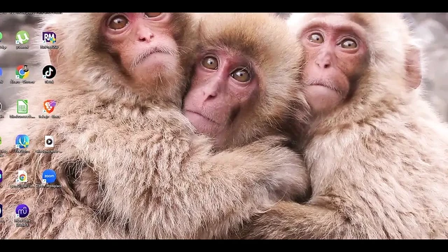 Evangelion hentai - misatothreesome oral seks ve sikiş - anime manga Japon Asyalı porno