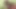 Milf wird hart Anal gefickt und darf danach Schwanz lutschen