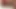 Seksi siyah ganimet için büyük beyaz horoz