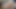 28 Kasım günü sfm & blender porno derlemesi