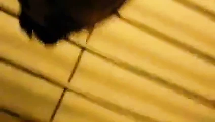 Portekizli bir kız kıçını sikiyor