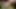 Büyük memeli yağlanmış orta yaşlı seksi kadın ile lederhosen eğlencesi