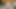 Vrlatina - güzel Kolombiyalı genç samimi seks - vr