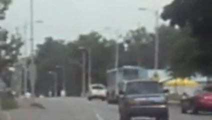 ceviz otobüs dolambaçlı