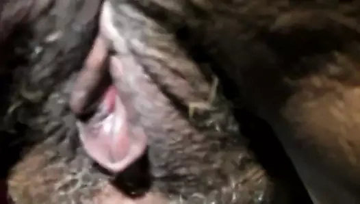 Göt sikişi büyük şişmiş klitoris ve göt deliği