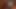 Merrell Twins Jerk and Cum Tribute - Happy Birthday Edition