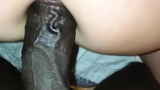 BBC kahrolası asyalı alt eşek!