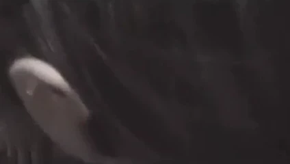 Alexis leigh mükemmel vücudunu sergiliyor