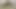 Güzel Kolombiyalı özel seçmelerde