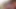 Civcivler kit ve kat lee içinde sıcak 4k alem