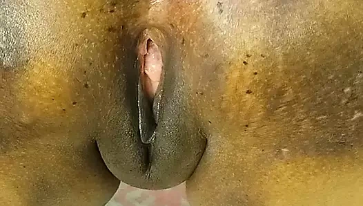 INDIAN HOUSE WifE
