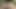Açık havada eğlence için yumuşak bir halıyla makaslama lezbiyenler arasında gerçekten başlayabilir