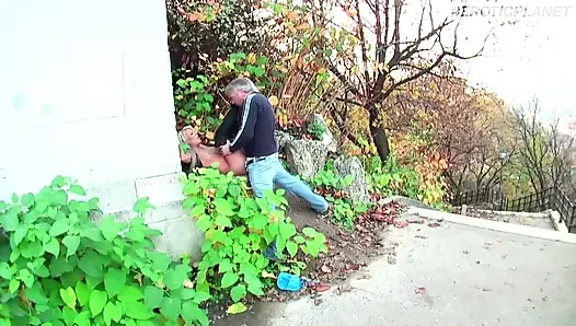 Alman seksi - Alman tam film