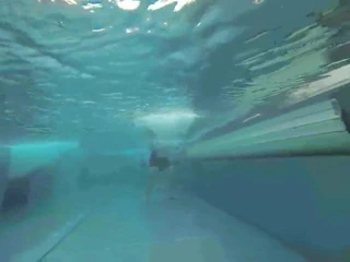 muschirubbeln unterwasser