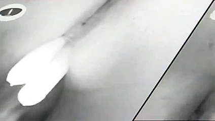 Bbw tazi eş içinde fire