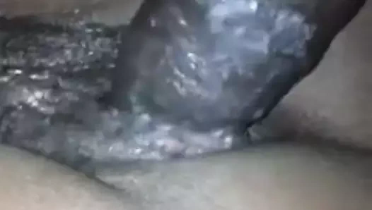 Abanoz kedi vs bbc amatör