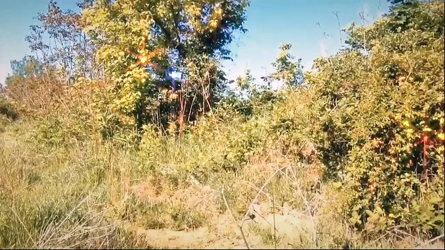 Göğüslerimi yine doğada gösteriyorum