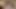 Busty milf Ağustos taylor yasak üvey kız üçlü