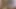 Sevimli Hintli evli kadın kocasıyla sikişiyor