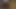 Cumtribute pour Candaulisme06