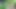 Lesbiennes en foret et voyeur pervers