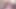 Venus lux sikikleri onu sert süre okşayarak onu kapalı