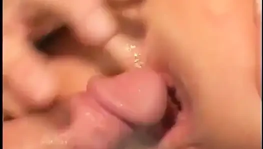 Seksi sürtükler amcık dalışı ve sikişiyor Amcık ve amcık Döllenmeden önce kanepede göt sikişi