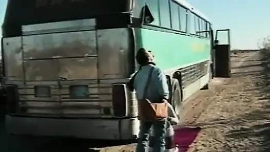 Beyaz yarak azgın zenci kaltağı sikiyor