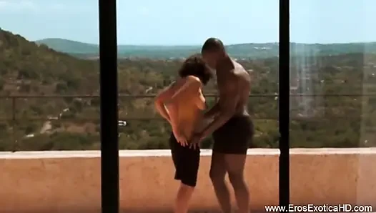Forbidden Paradise Affair