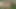 Baştan çıkarıcı minx'in gizli bahçesini bebek sosuyla doldurması için pantolonunun hortumuna ihtiyacı var
